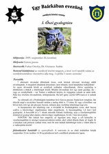 1. Őszi gyalogtúra