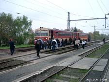 Sásd; Bz 239