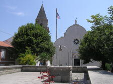 OLYMPUS DIGITAL CAMERA         