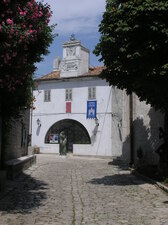 OLYMPUS DIGITAL CAMERA         